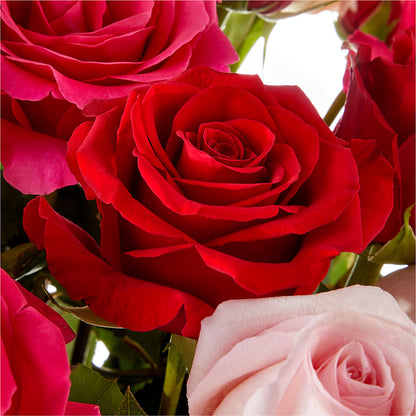 Love Notes Rose Bouquet – SUNSHINE FLOWERS & GIFTS, Joaquin TX