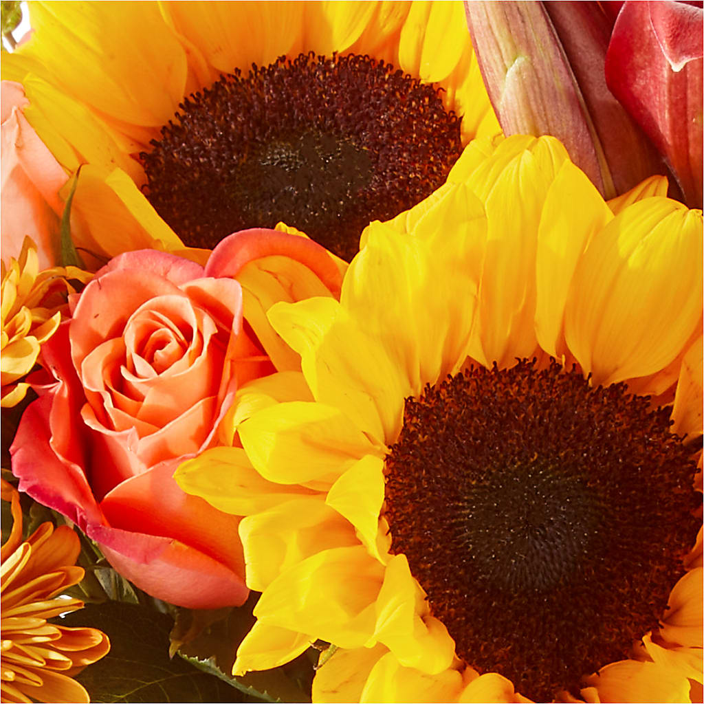 Acorn Lane Bouquet – SUNSHINE FLOWERS & GIFTS, Joaquin TX