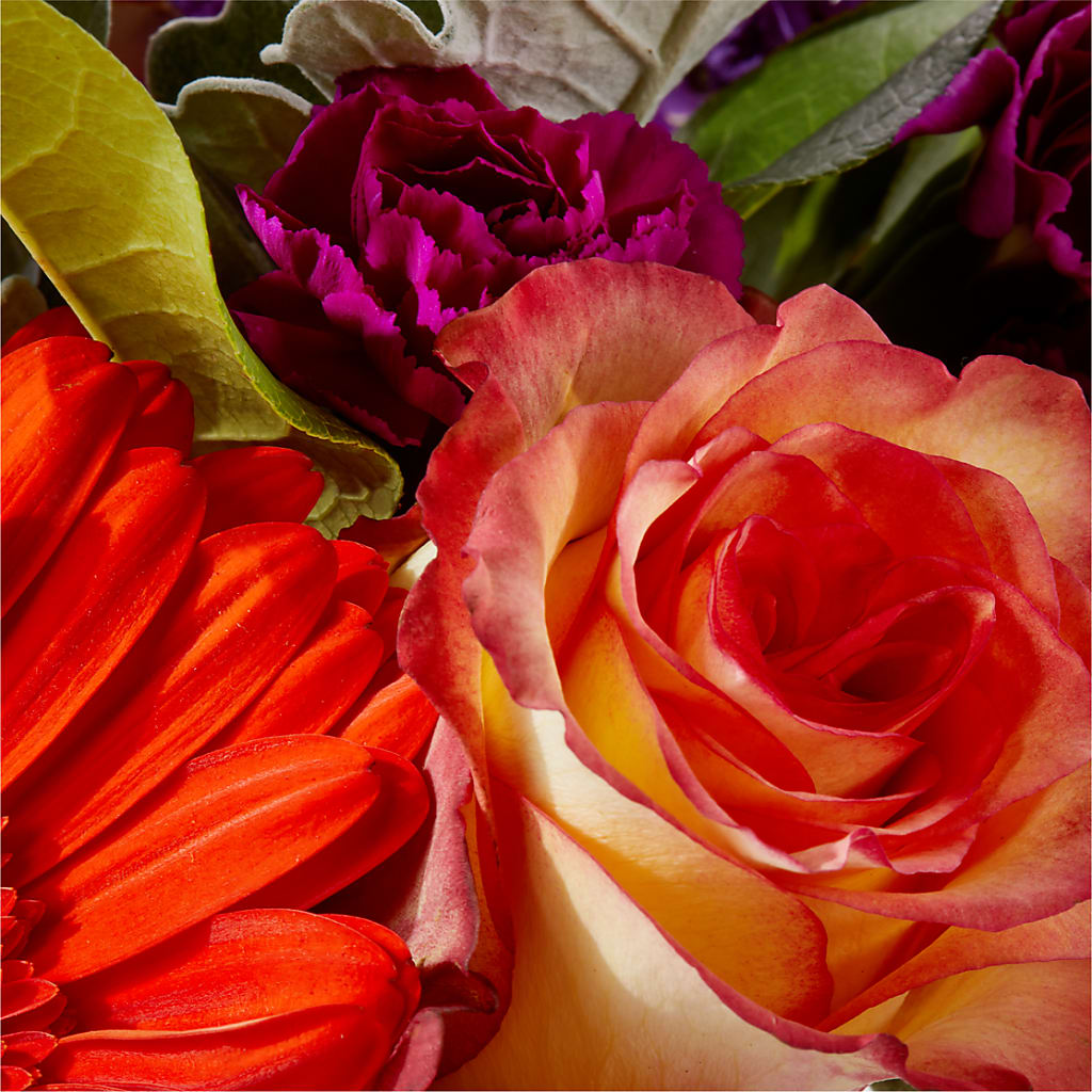 Sangria Bouquet – SUNSHINE FLOWERS & GIFTS, Joaquin TX