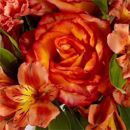 Apricot Glow Bouquet – SUNSHINE FLOWERS & GIFTS, Joaquin TX