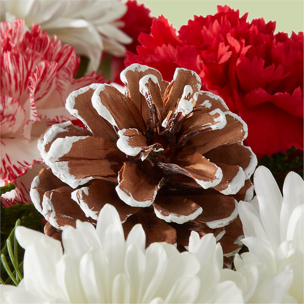 Candy Cane Lane Bouquet – SUNSHINE FLOWERS & GIFTS, Joaquin TX