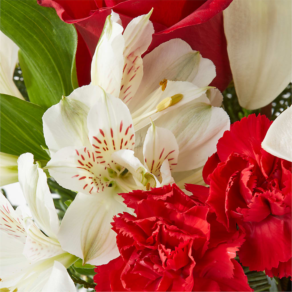 Holiday Season Bouquet – SUNSHINE FLOWERS & GIFTS, Joaquin TX