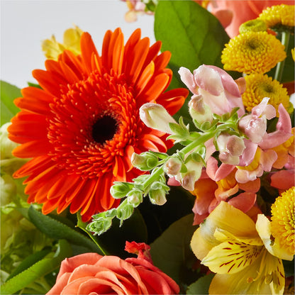 Autumn Sunshine Bouquet – SUNSHINE FLOWERS & GIFTS, Joaquin TX
