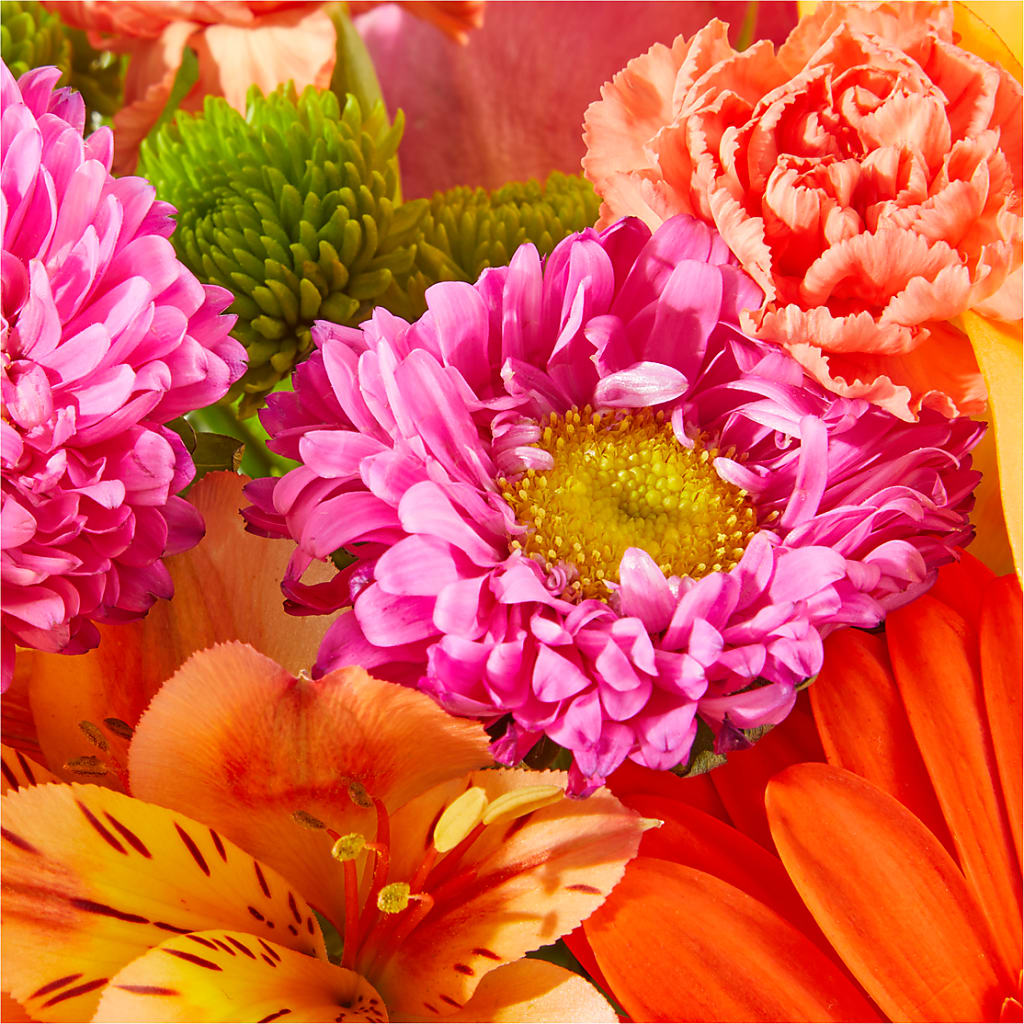 Soiree Bouquet – SUNSHINE FLOWERS & GIFTS, Joaquin TX