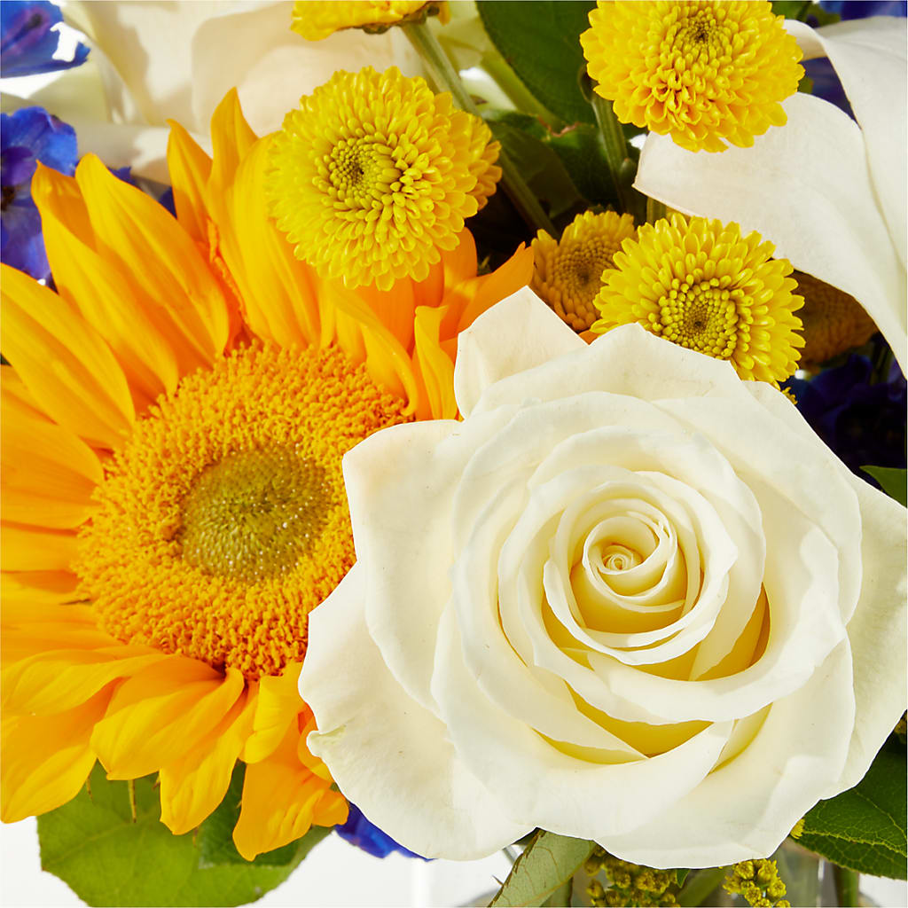 Stargazing Bouquet – SUNSHINE FLOWERS & GIFTS, Joaquin TX