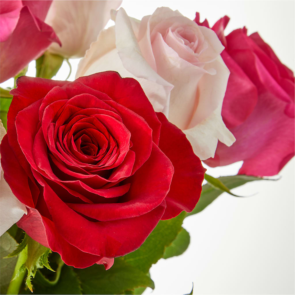 Charming Rose Bouquet – SUNSHINE FLOWERS & GIFTS, Joaquin TX