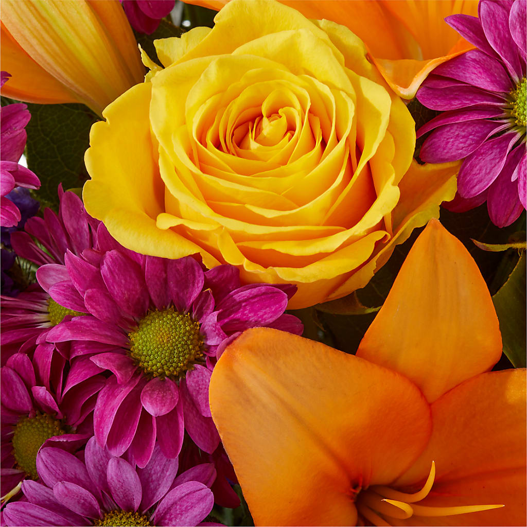 Colorful Visions Bouquet – SUNSHINE FLOWERS & GIFTS, Joaquin TX