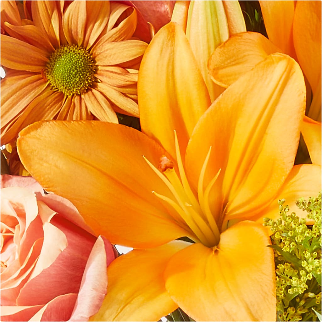 Harvest Hayride Bouquet – SUNSHINE FLOWERS & GIFTS, Joaquin TX