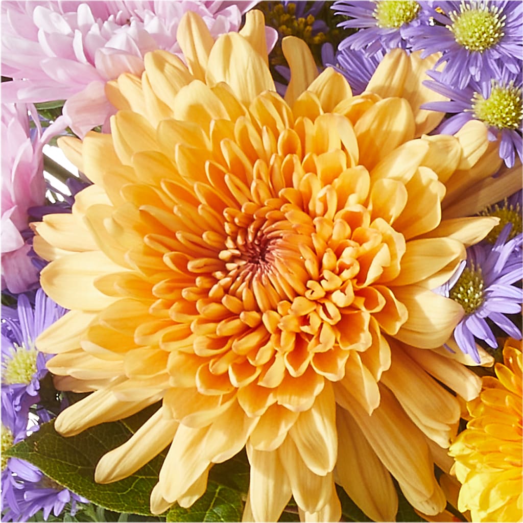 Countryside Bouquet – SUNSHINE FLOWERS & GIFTS, Joaquin TX