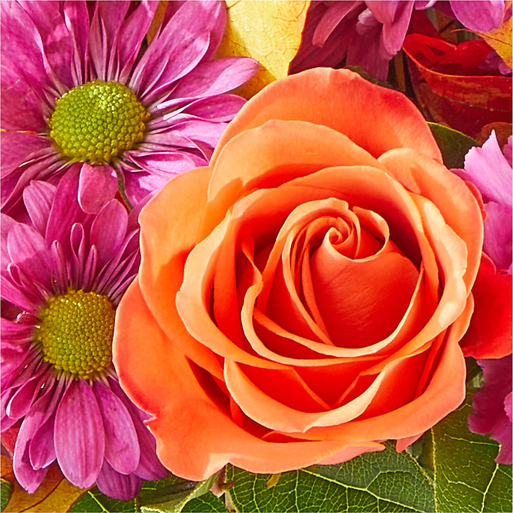 Mum's the Word Bouquet – SUNSHINE FLOWERS & GIFTS, Joaquin TX