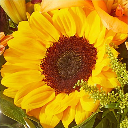 Seasons Change Bouquet – SUNSHINE FLOWERS & GIFTS, Joaquin TX