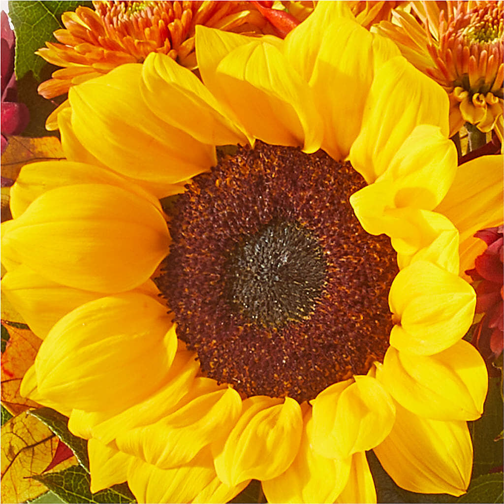 Sunny Side Bouquet – SUNSHINE FLOWERS & GIFTS, Joaquin TX