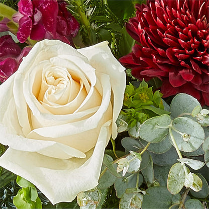 Cranberry Fizz Bouquet – SUNSHINE FLOWERS & GIFTS, Joaquin TX