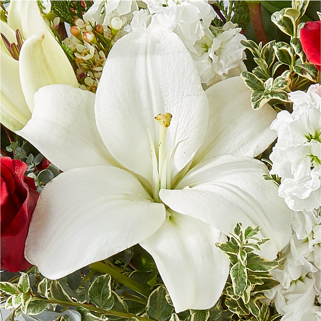 Twinkle Lights Bouquet – SUNSHINE FLOWERS & GIFTS, Joaquin TX