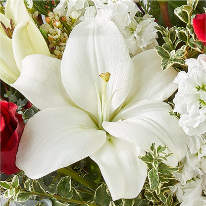 Twinkle Lights Bouquet – SUNSHINE FLOWERS & GIFTS, Joaquin TX
