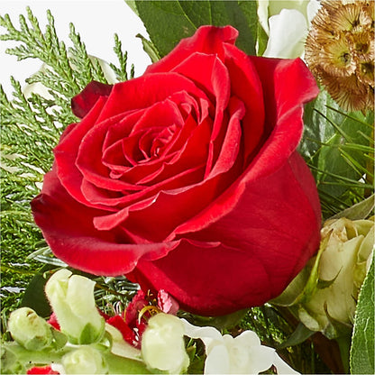 Deck the Halls Bouquet – SUNSHINE FLOWERS & GIFTS, Joaquin TX