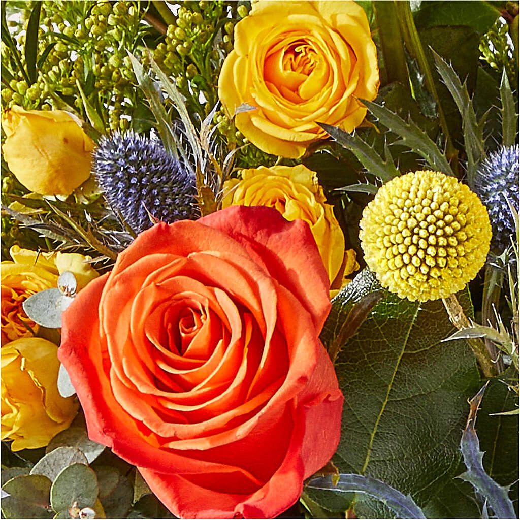 Disco Bouquet – SUNSHINE FLOWERS & GIFTS, Joaquin TX
