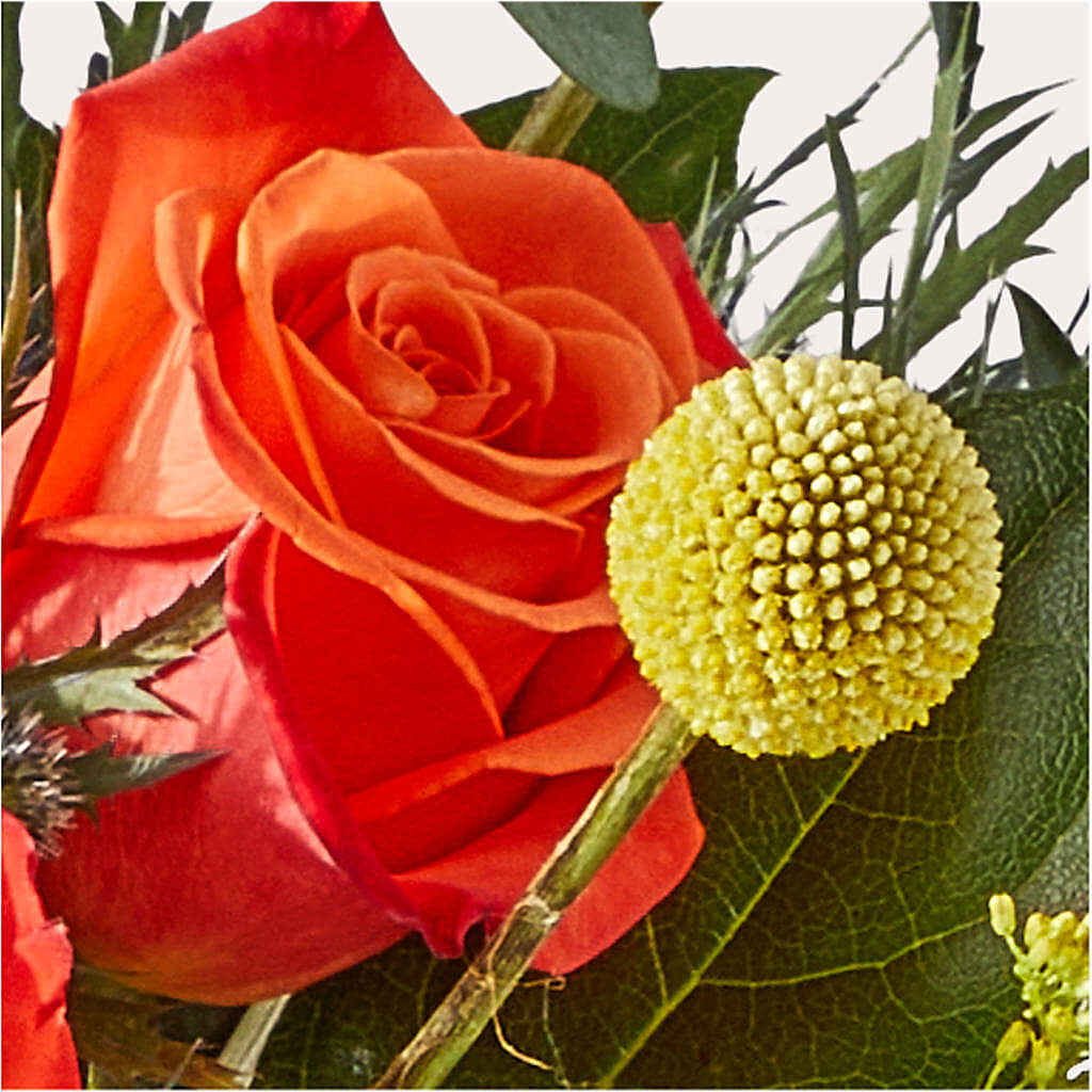 Disco Bouquet – SUNSHINE FLOWERS & GIFTS, Joaquin TX