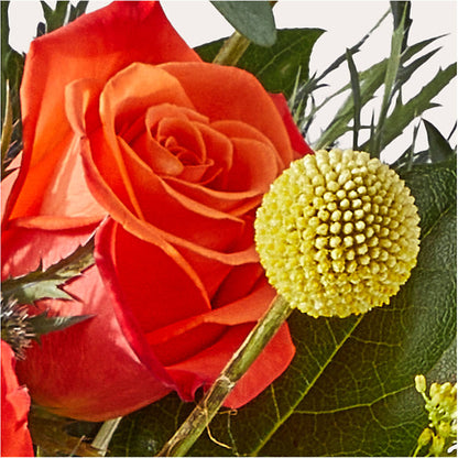 Disco Bouquet – SUNSHINE FLOWERS & GIFTS, Joaquin TX