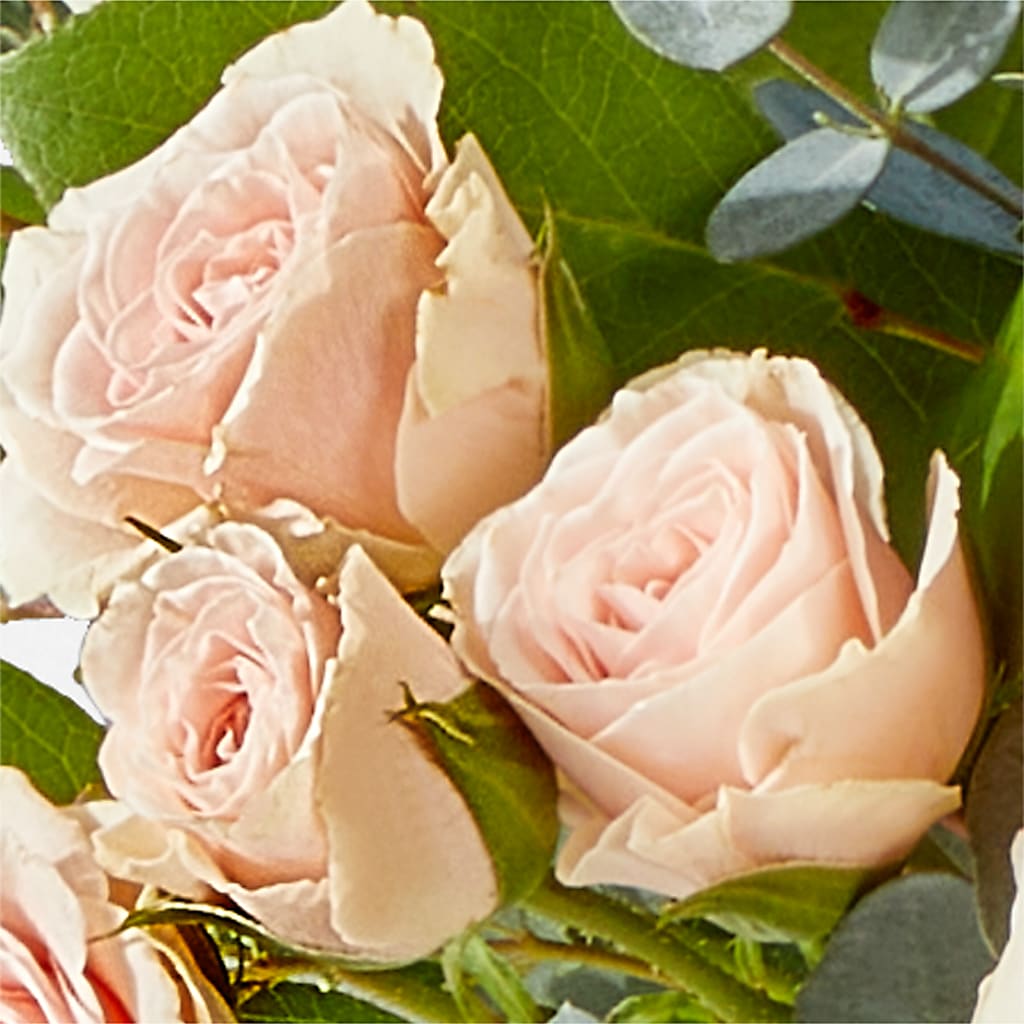 Inspired Bouquet – SUNSHINE FLOWERS & GIFTS, Joaquin TX