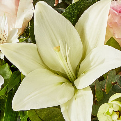 Ballet Slippers Bouquet – SUNSHINE FLOWERS & GIFTS, Joaquin TX