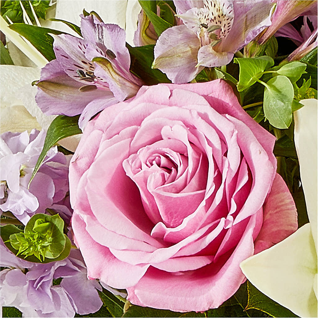 Daydreamer Bouquet – SUNSHINE FLOWERS & GIFTS, Joaquin TX