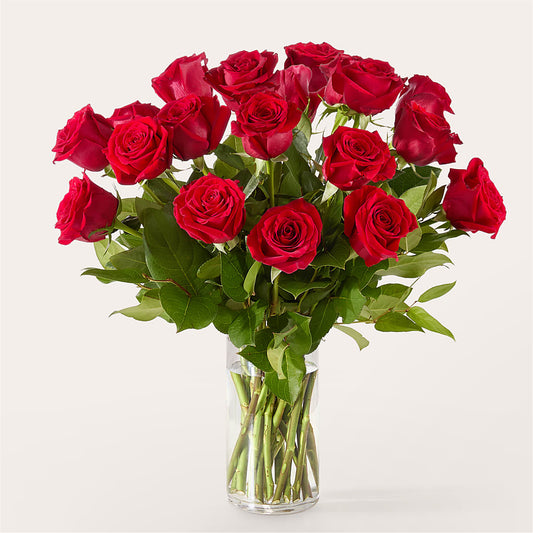 The One Red Rose Bouquet – SUNSHINE FLOWERS & GIFTS, Joaquin TX