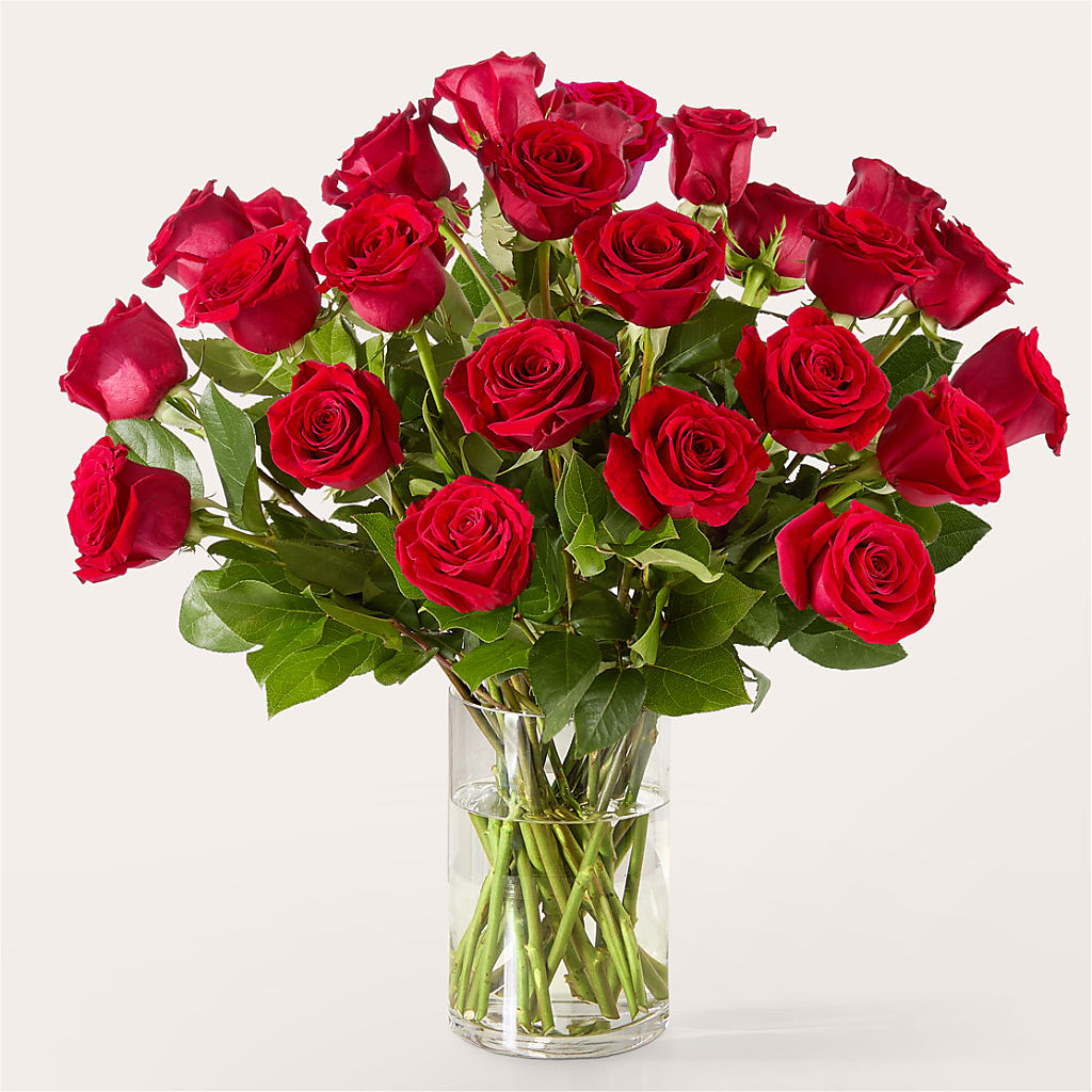 The One Red Rose Bouquet – SUNSHINE FLOWERS & GIFTS, Joaquin TX