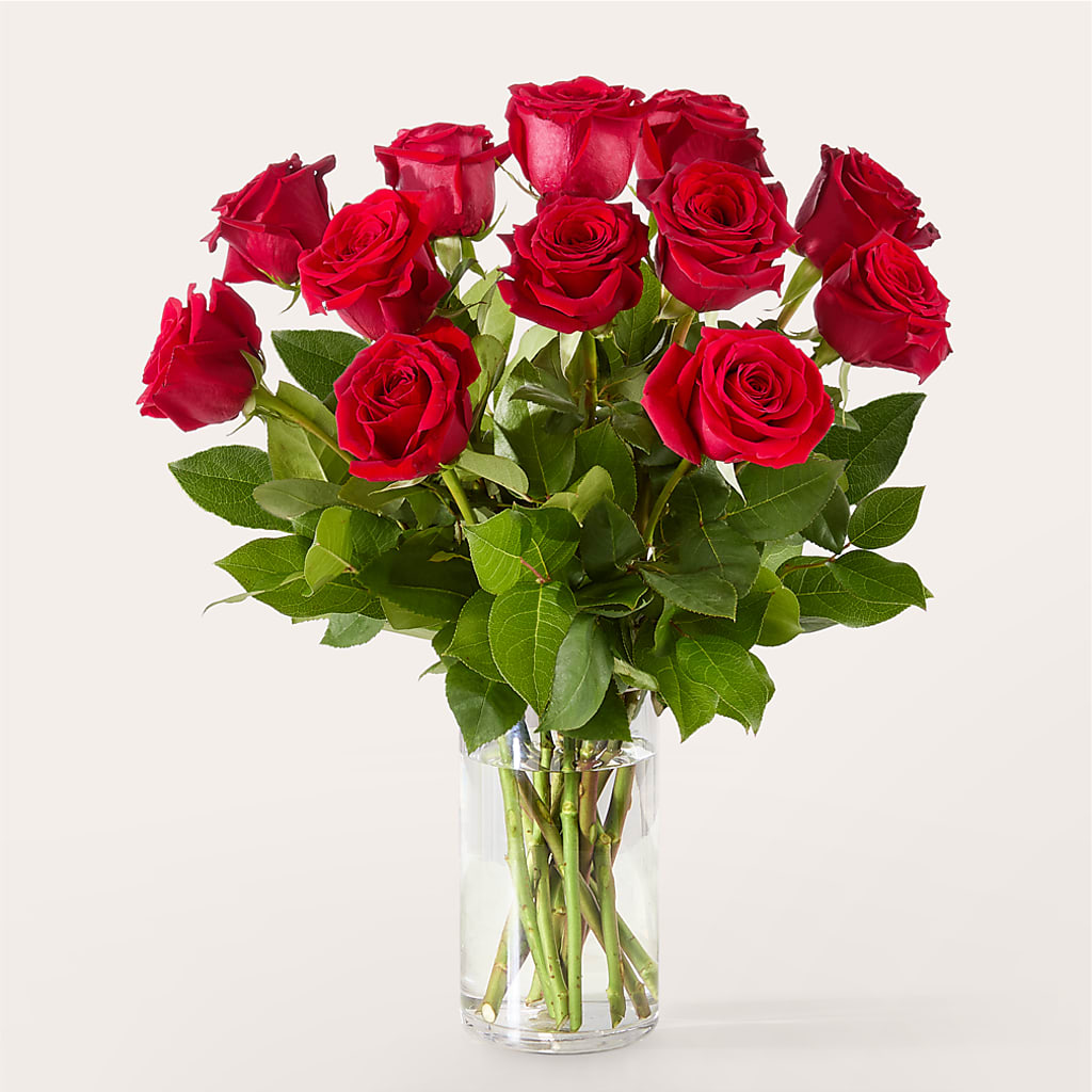 The One Red Rose Bouquet – SUNSHINE FLOWERS & GIFTS, Joaquin TX