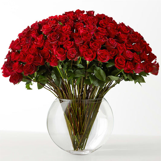 The Idealist – SUNSHINE FLOWERS & GIFTS, Joaquin TX