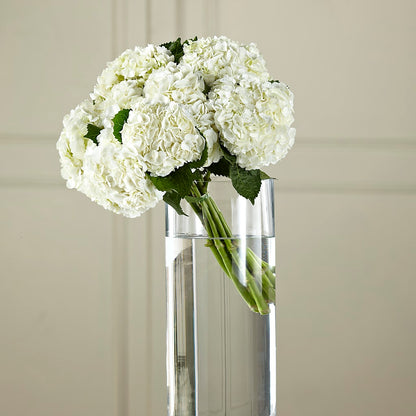 White Hydrangea Hand-Tied Bouquet – SUNSHINE FLOWERS & GIFTS, Joaquin TX