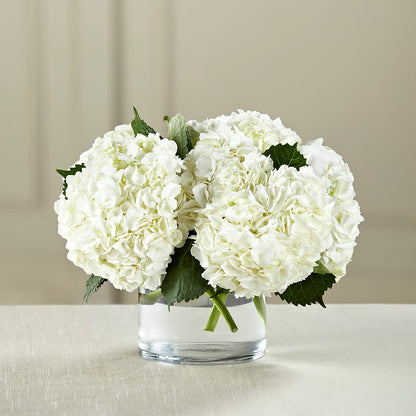 White Hydrangea Bouquet – SUNSHINE FLOWERS & GIFTS, Joaquin TX