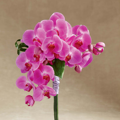 Glorious Bouquet – SUNSHINE FLOWERS & GIFTS, Joaquin TX