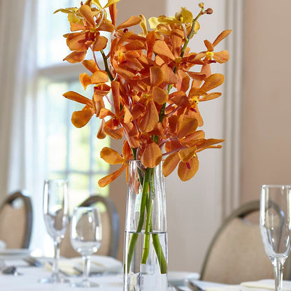 Orange Mokara Bud Vase – SUNSHINE FLOWERS & GIFTS, Joaquin TX