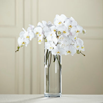 White Phalaenopsis Bouquet – SUNSHINE FLOWERS & GIFTS, Joaquin TX